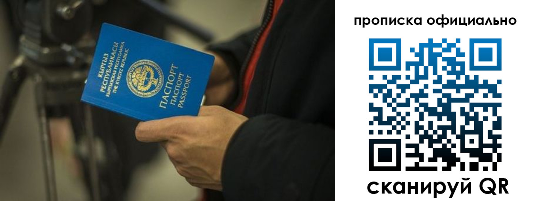 прописка в Сосновке